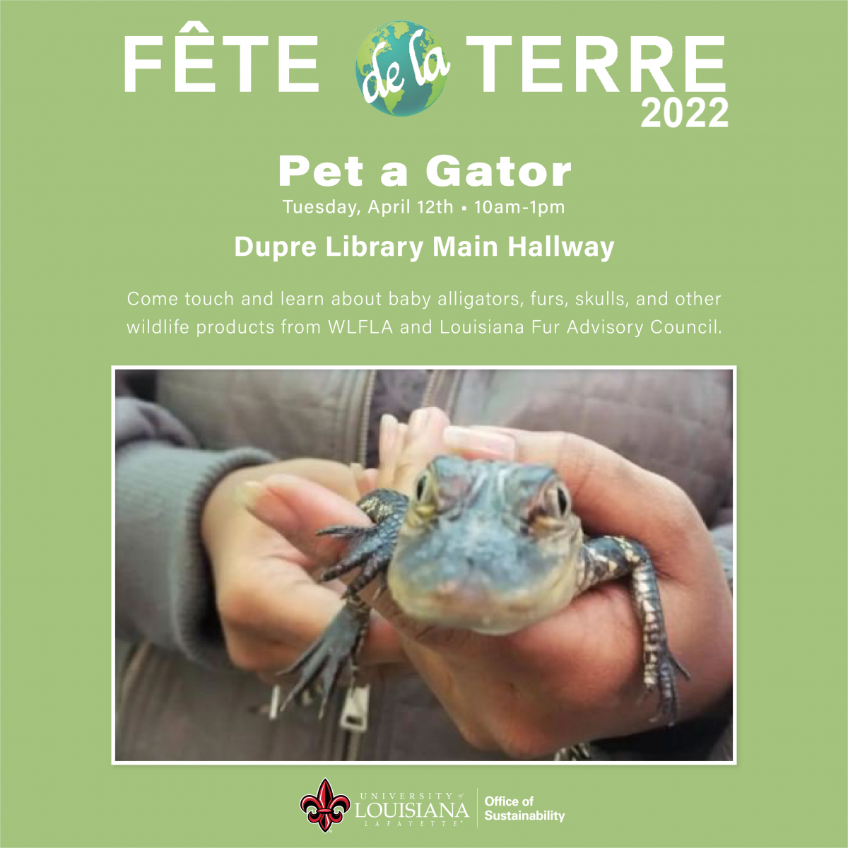 Flyer: Pet A Gator
