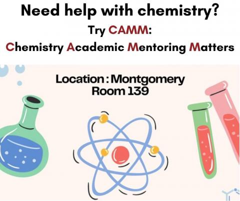 Chemistry Academic Mentoring Matters (CAMM)