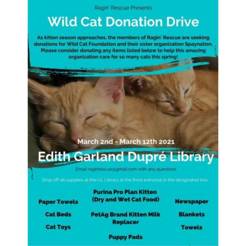 wild cat donation drive flyer