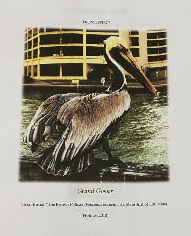 Special Collections - Walter C. Holmes Collection